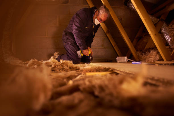 Best Insulation Maintenance and Repair in Albemarle, NC